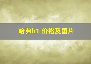 哈弗h1 价格及图片